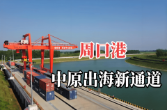 节制方针纳入部分及员工查核系统